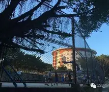 包含Rookie会首发搭档吗结果意外的词条|FB体育